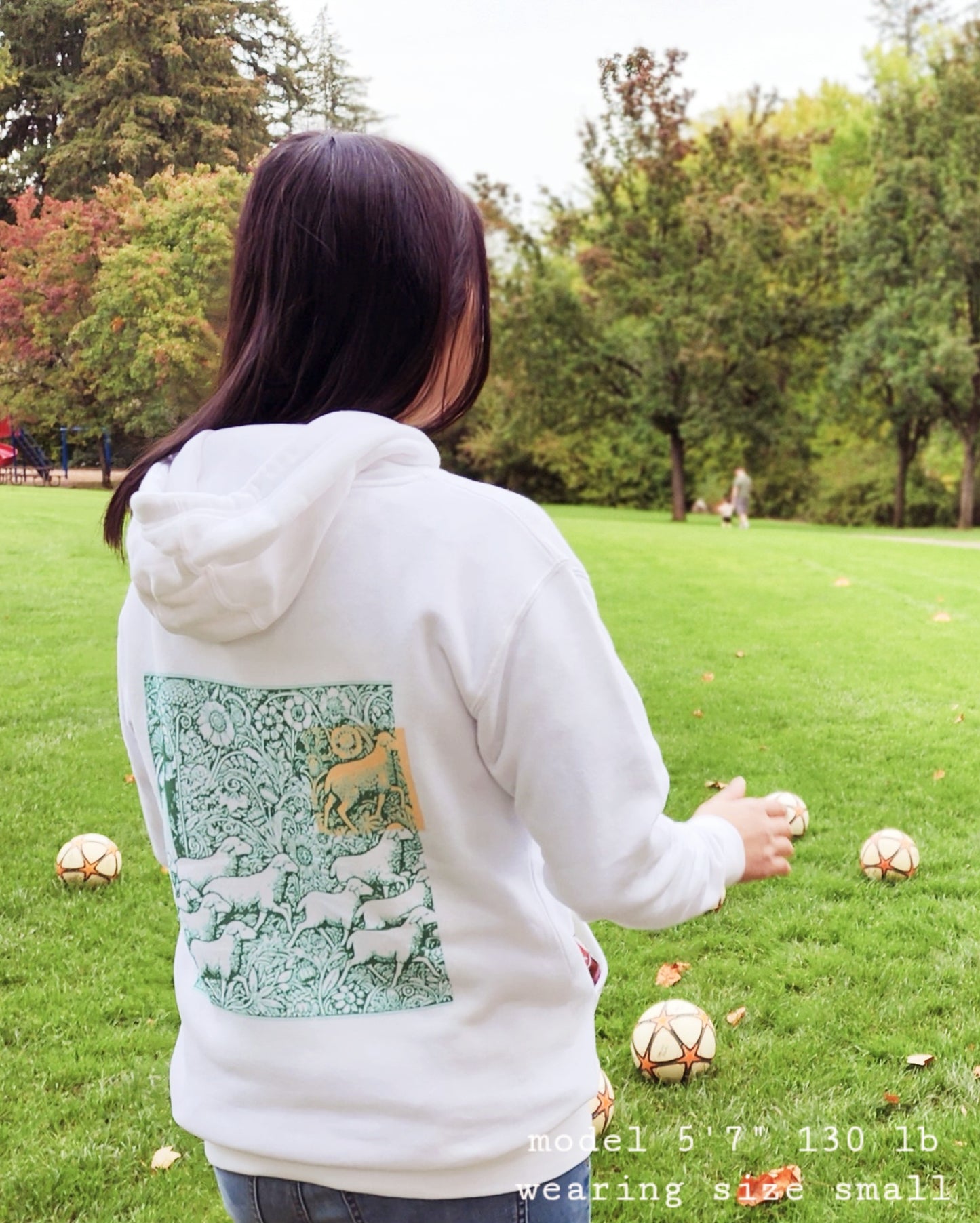 Parable of the Lost Sheep Hoodie - Men's and Women's